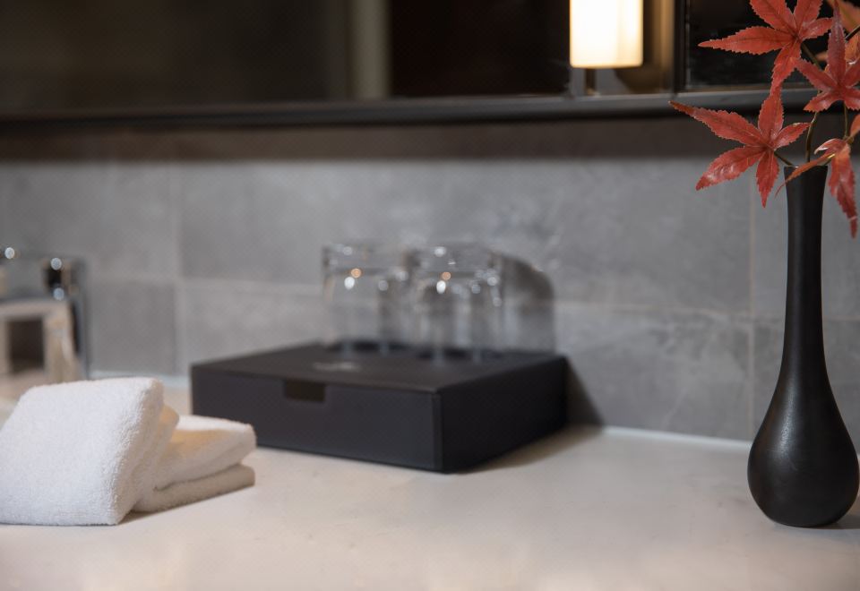 Beijing Somerset Daxing HotelSpecial Queen Room