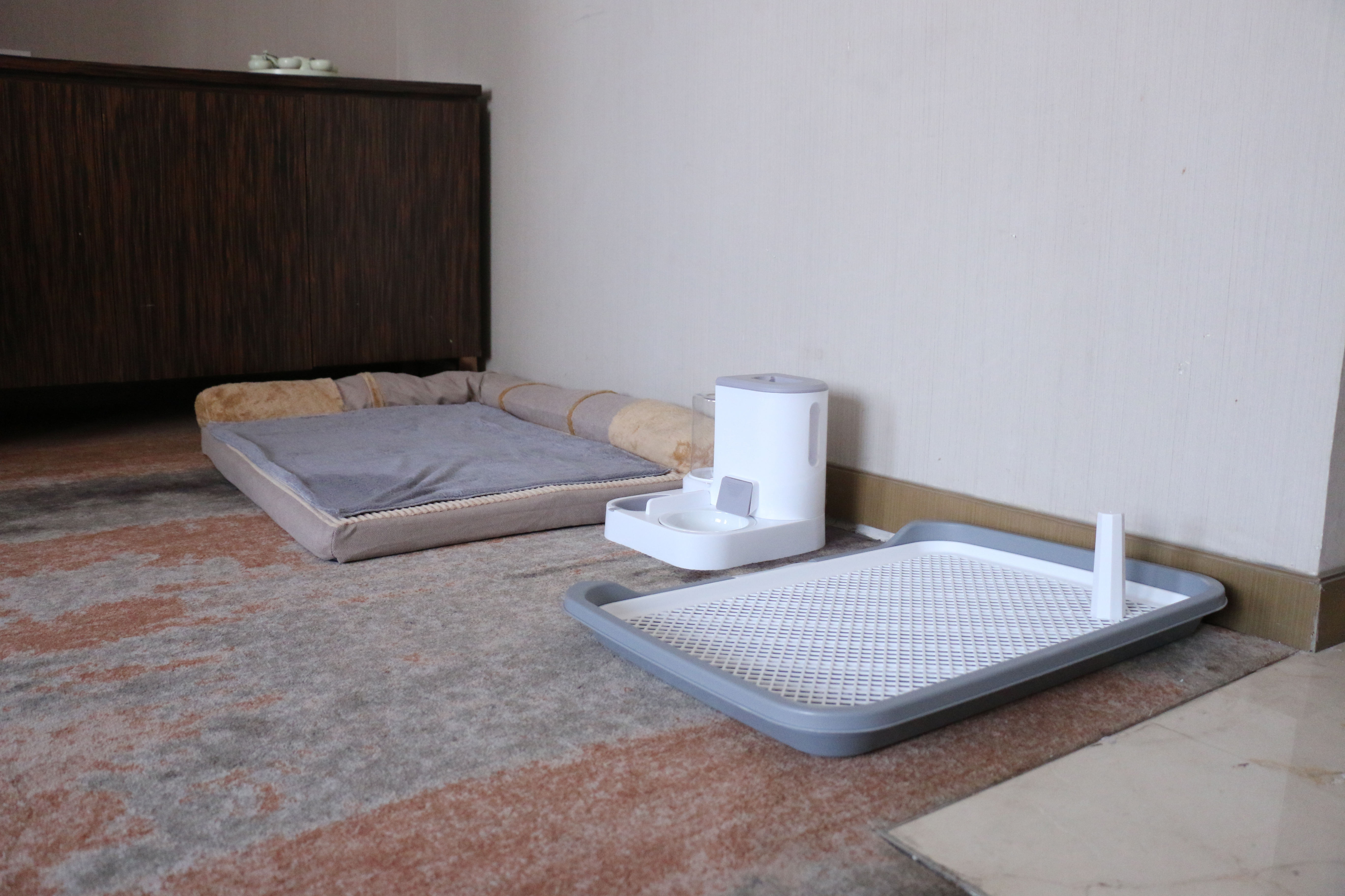 汪星人之家·单卧套房超大床房