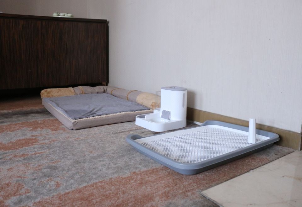 汪星人之家·单卧套房超大床房