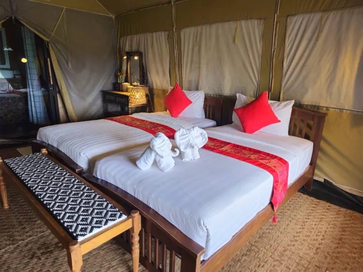 Exotic Top View Twin