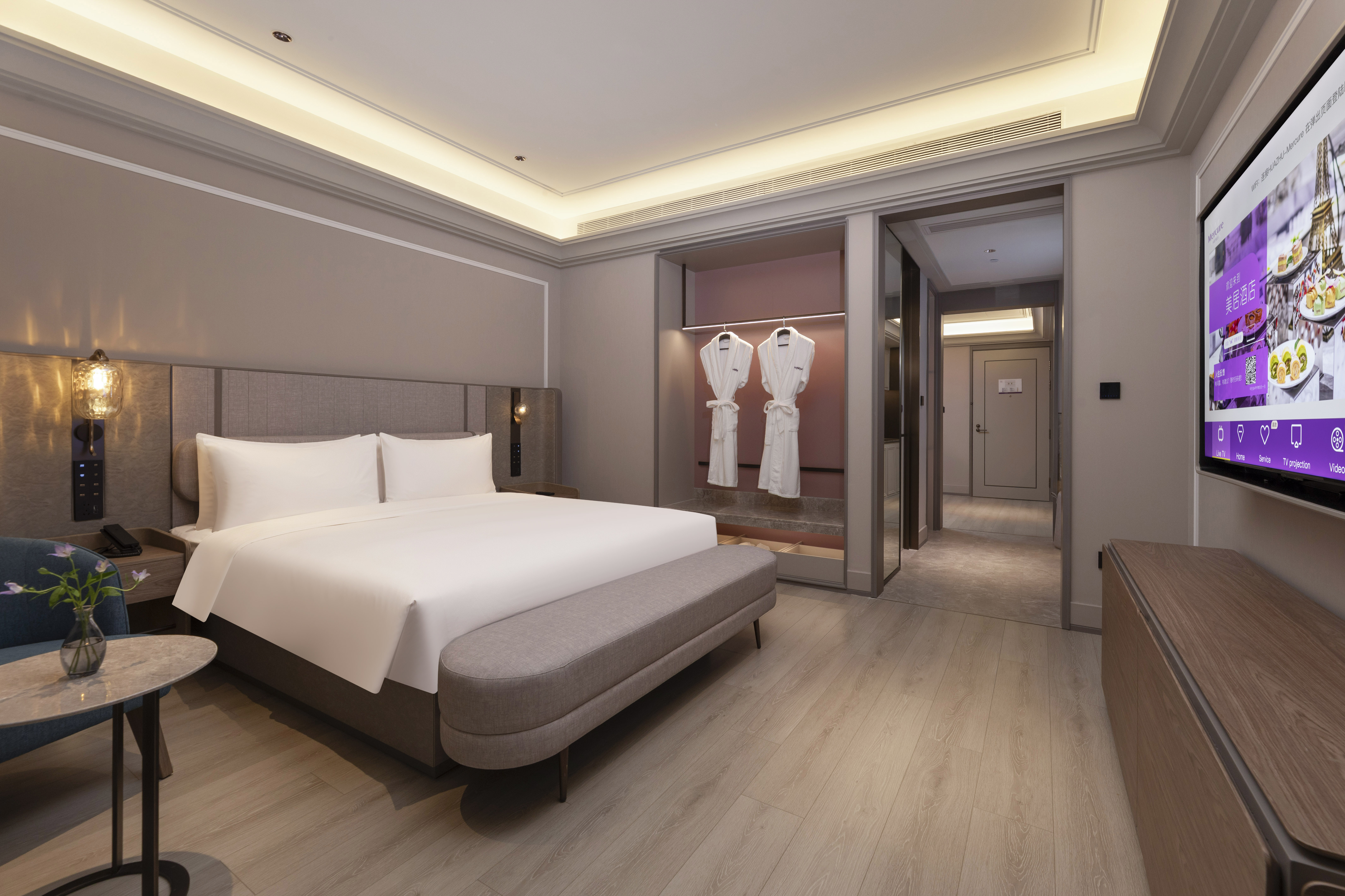 行政嘉宾套房（一室一厅）