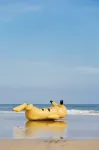 Le Méridien Shimei Bay Beach Resort & Spa