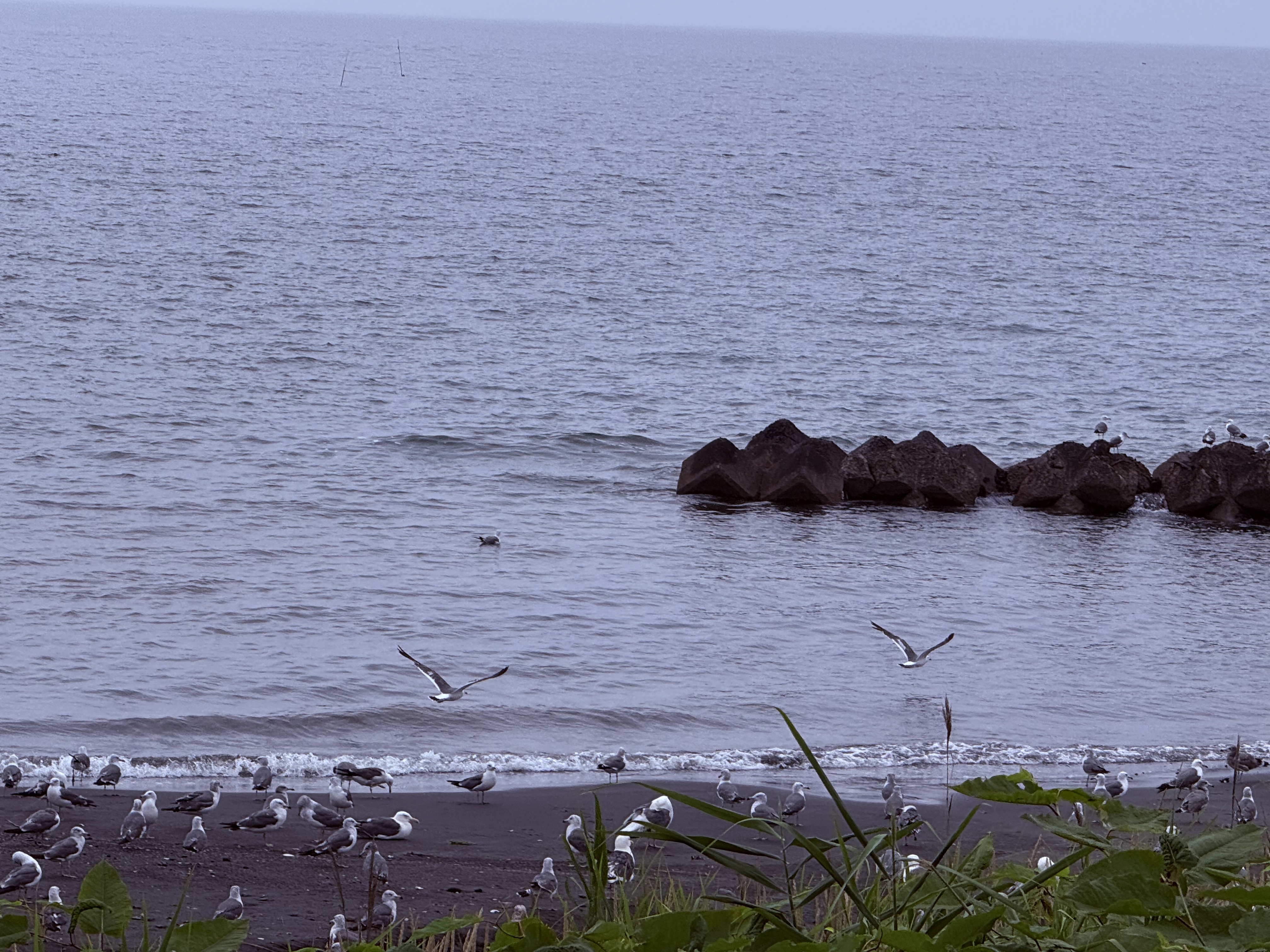 副楼海景豪华家庭房