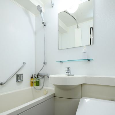 【リニューアル】デラックストリプル（禁煙） ホテルマイステイズ御茶ノ水コンファレンスセンター クーポン