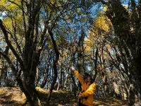 Lanping Shujiawu Township Luoguxuan Hiking Homestay Hotels in Lanping