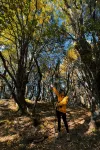Lanping Shujiawu Township Luoguxuan Hiking Homestay