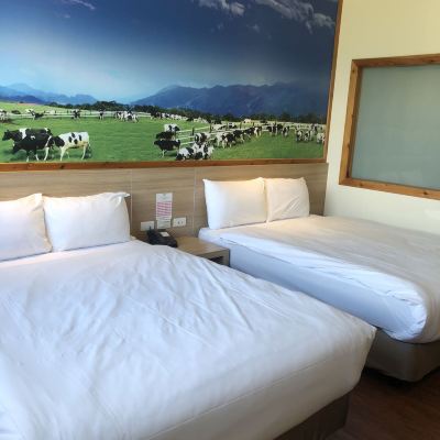 精緻兩床房 綺麗商旅（台東珊瑚園區館）優惠