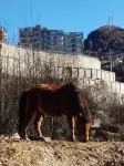 Lvxiang · Snow-Mountain View Meditate Hotel (Siguniang Mountain Branch)