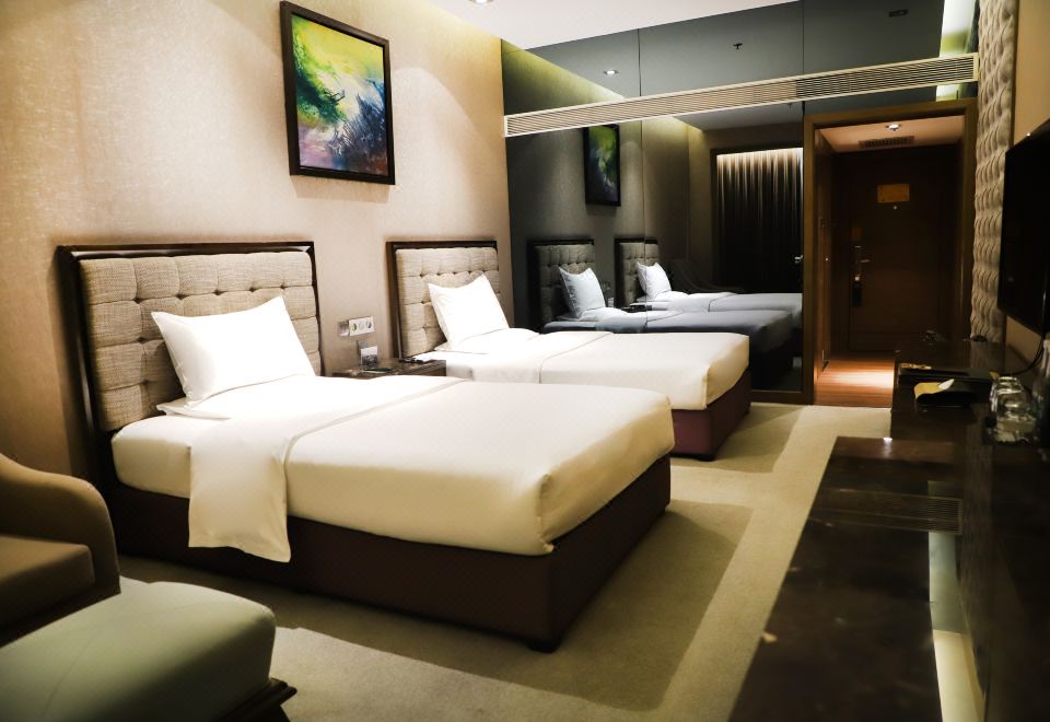 高级双床房（负氧离子+空气净化设备）