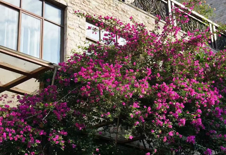 Nanyue Lotusland HotelGuestroom