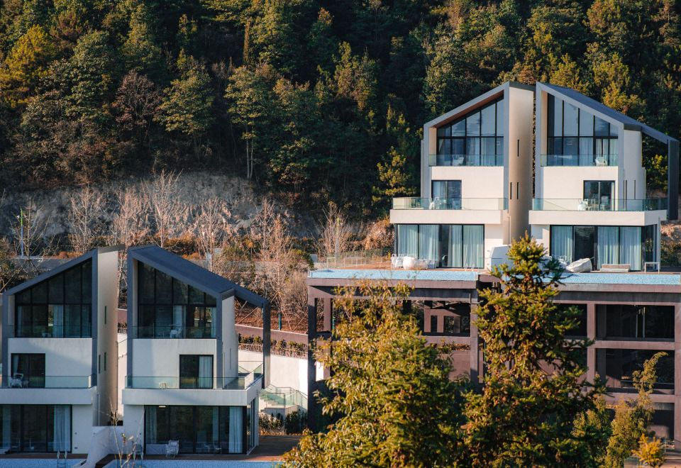 碧落双卧泳池别墅