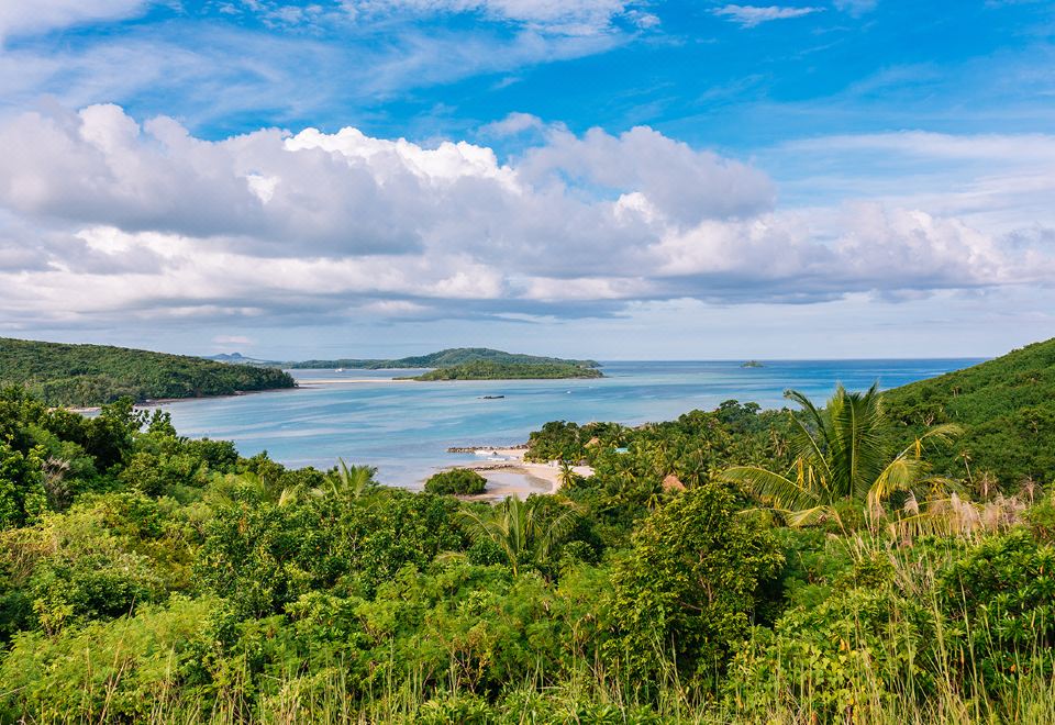 a scenic view of a beach surrounded by lush green trees and a body of water at Navutu Stars Resort