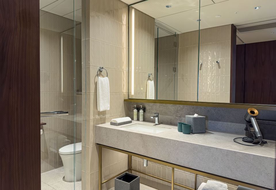 豪华套房（私享戴森吹风机+Coffee机+Minibar）