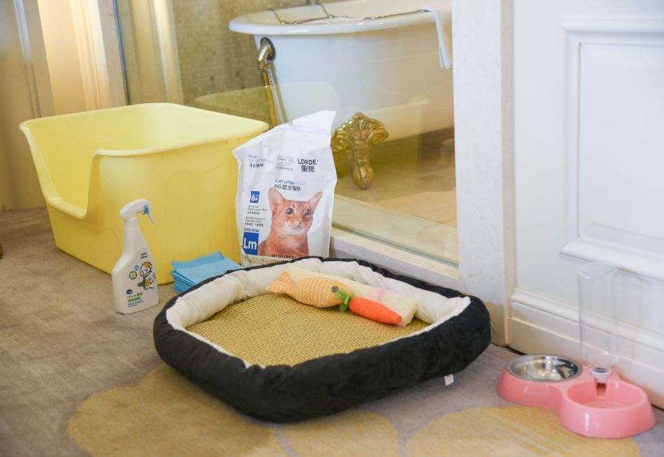 寵物友好主題房-貓貓專屬