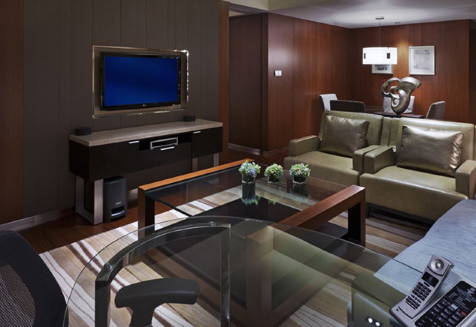 高级家庭套房（智能投屏）