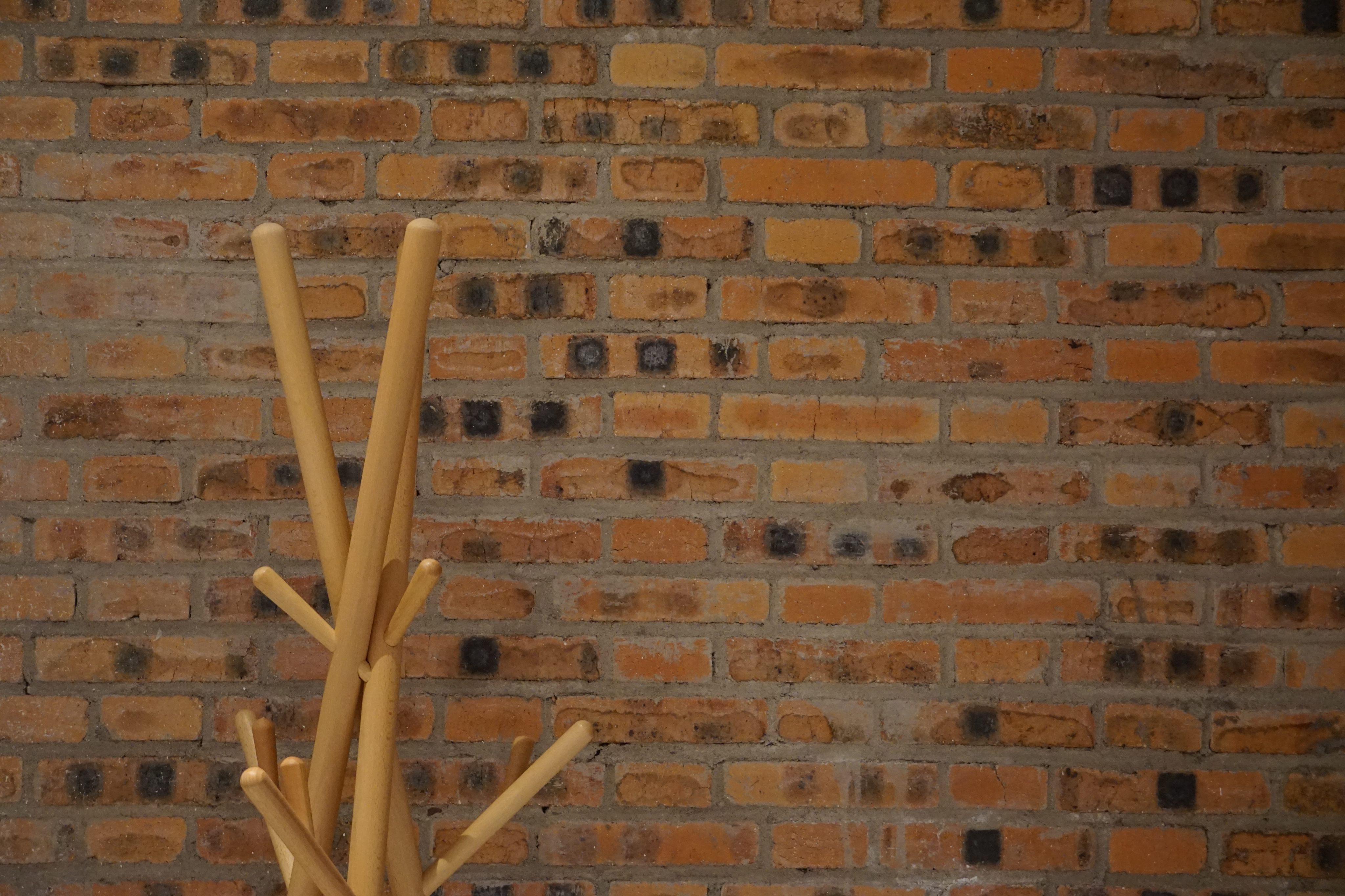 归藏-庭院景观大床房