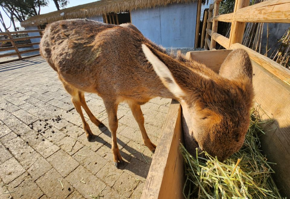 2号楼·阳台观景双床房