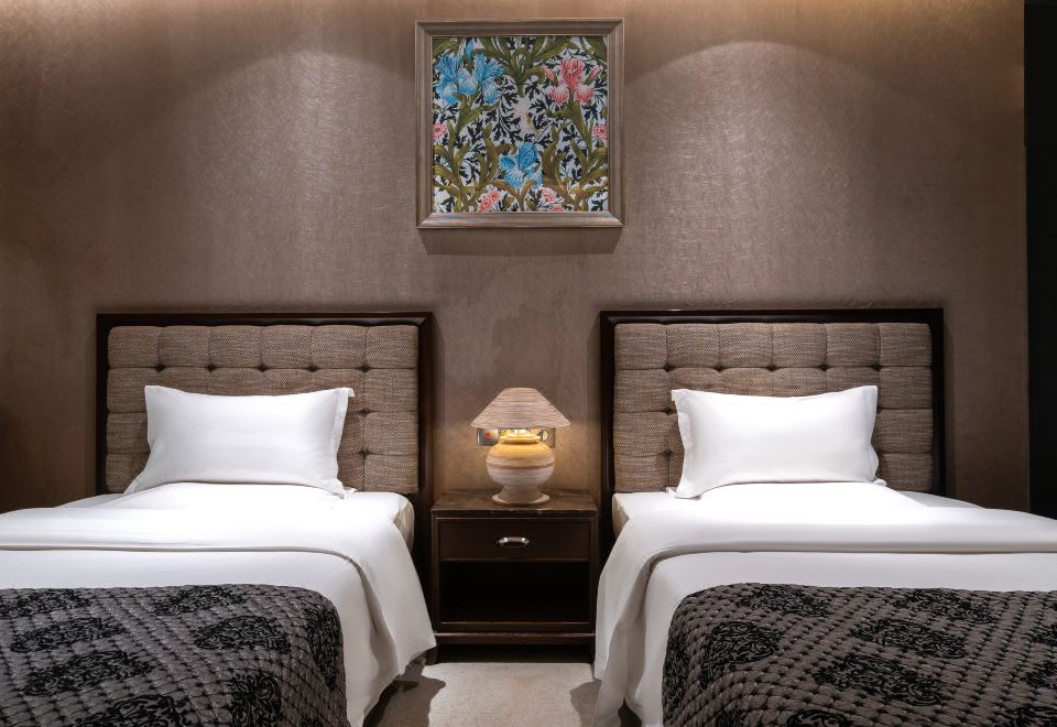 豪华双床房（负氧离子+空气净化设备）