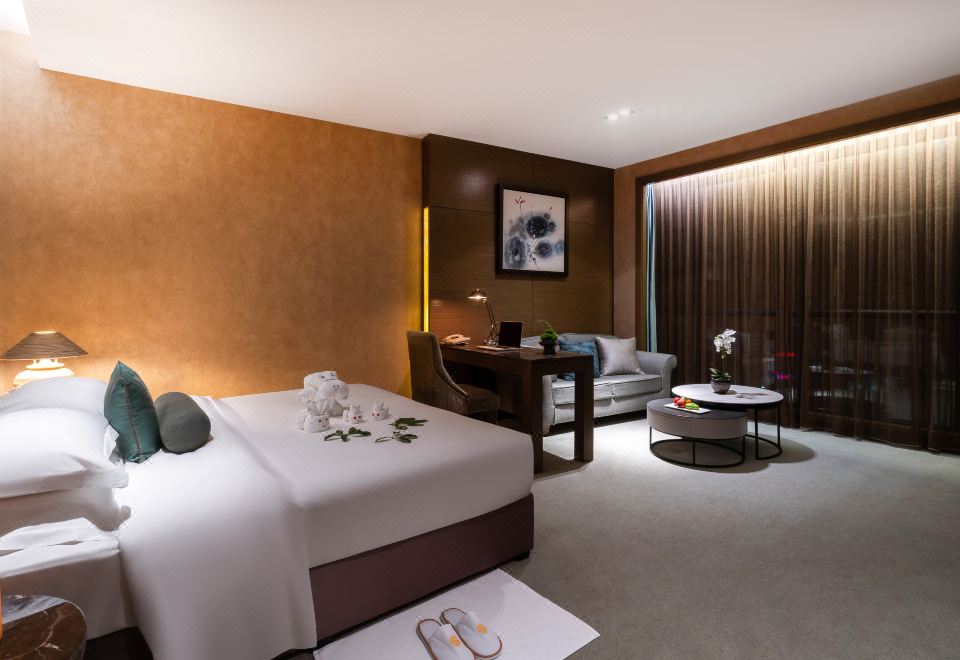 豪华大床房（负氧离子+空气净化设备）