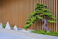 Yuebo International Hotel