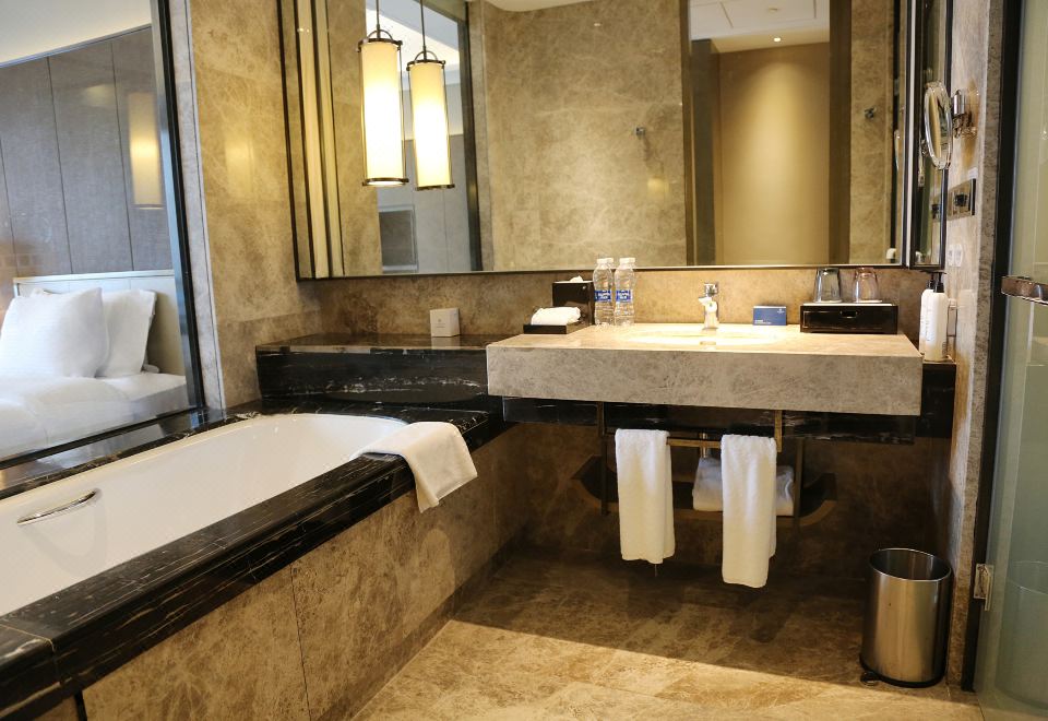 森林氧吧双床房（森呼吸+负氧离子净化器）