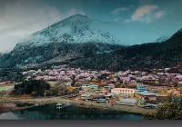 Bomi Taoxi Inn