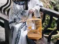Hongcun Daiqingfang Nanhub Huizhou Ancient Style Experience Homestay Hotels in Yi County