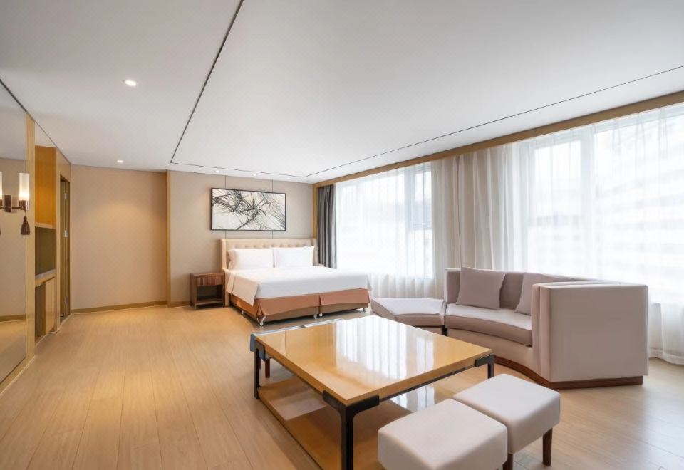 麗雅聯通套房（徠芬SE吹風機）