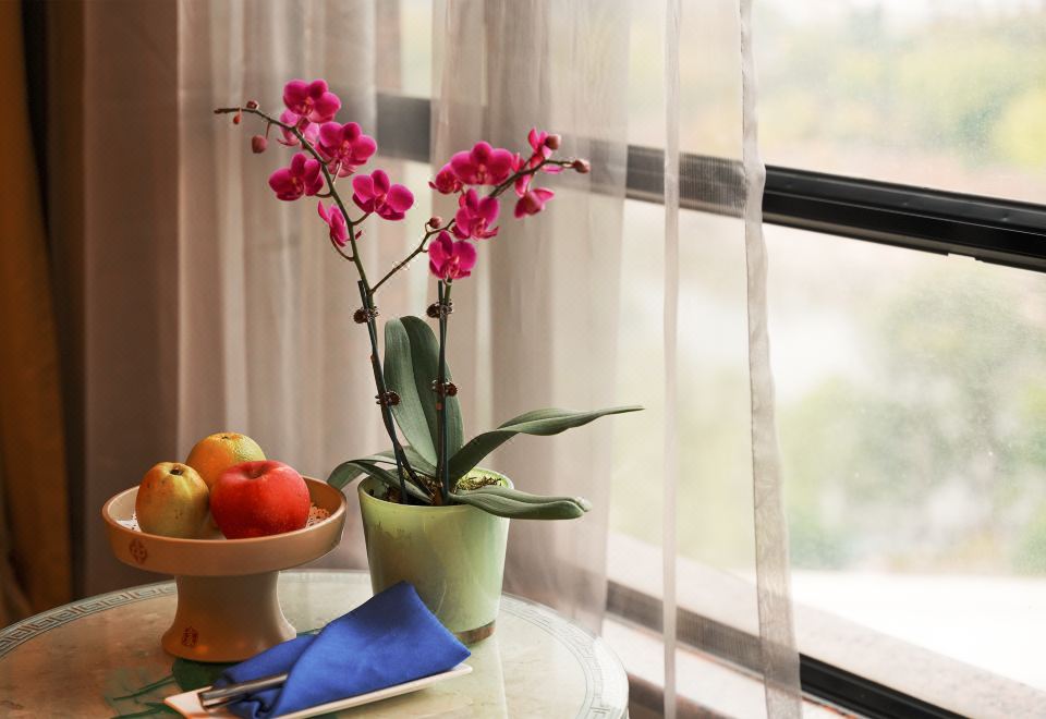 商務湖景雙床房