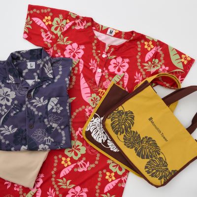 スーペリア 和洋室Ａコネクト（シャワーブース付）（禁煙） スパリゾートハワイアンズ モノリスタワー クーポン