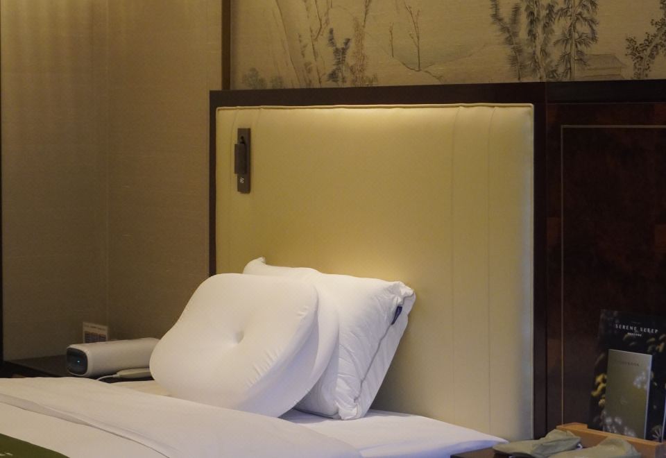 庭院智能按摩双床房