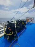 Avila's Horizon Dive Resort Malapascua