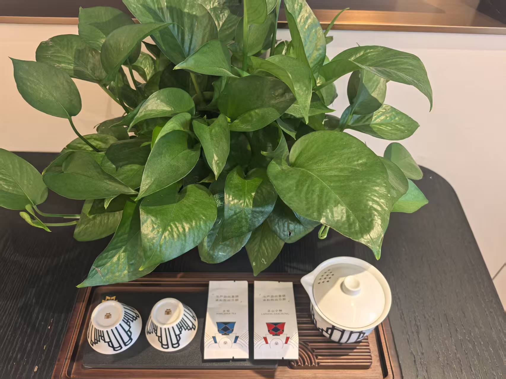 行政尊享双床房（智能设备-防蟎床垫-茶具）