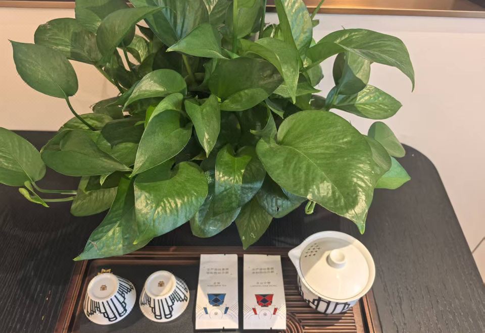 行政尊享雙床房（智能設備-防蟎床墊-茶具）