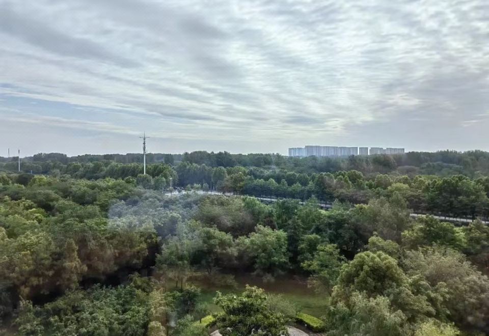 高级双床房（园林景观）