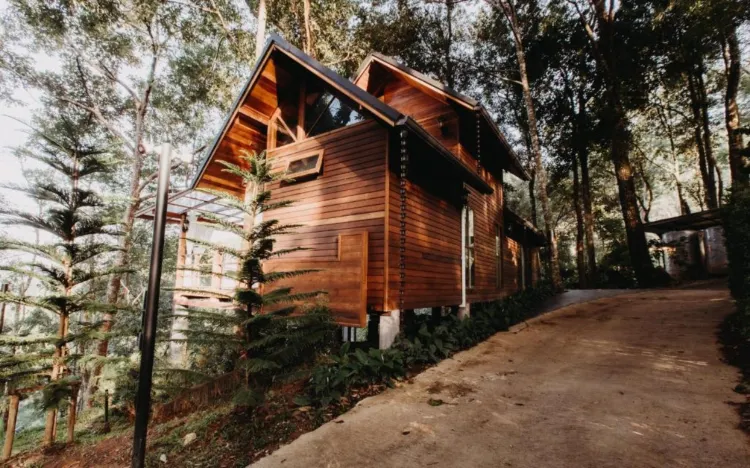 ไทปิกาเฮ้าส์