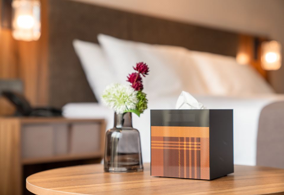 高级大床房【英伦风格，55寸可投屏电视】