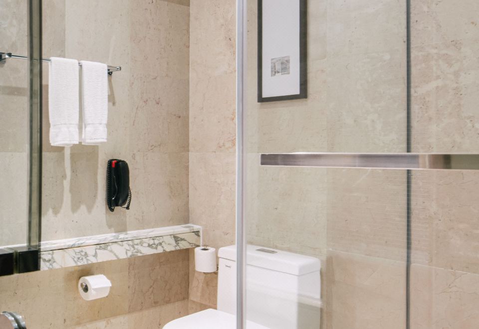 高级豪华双床房