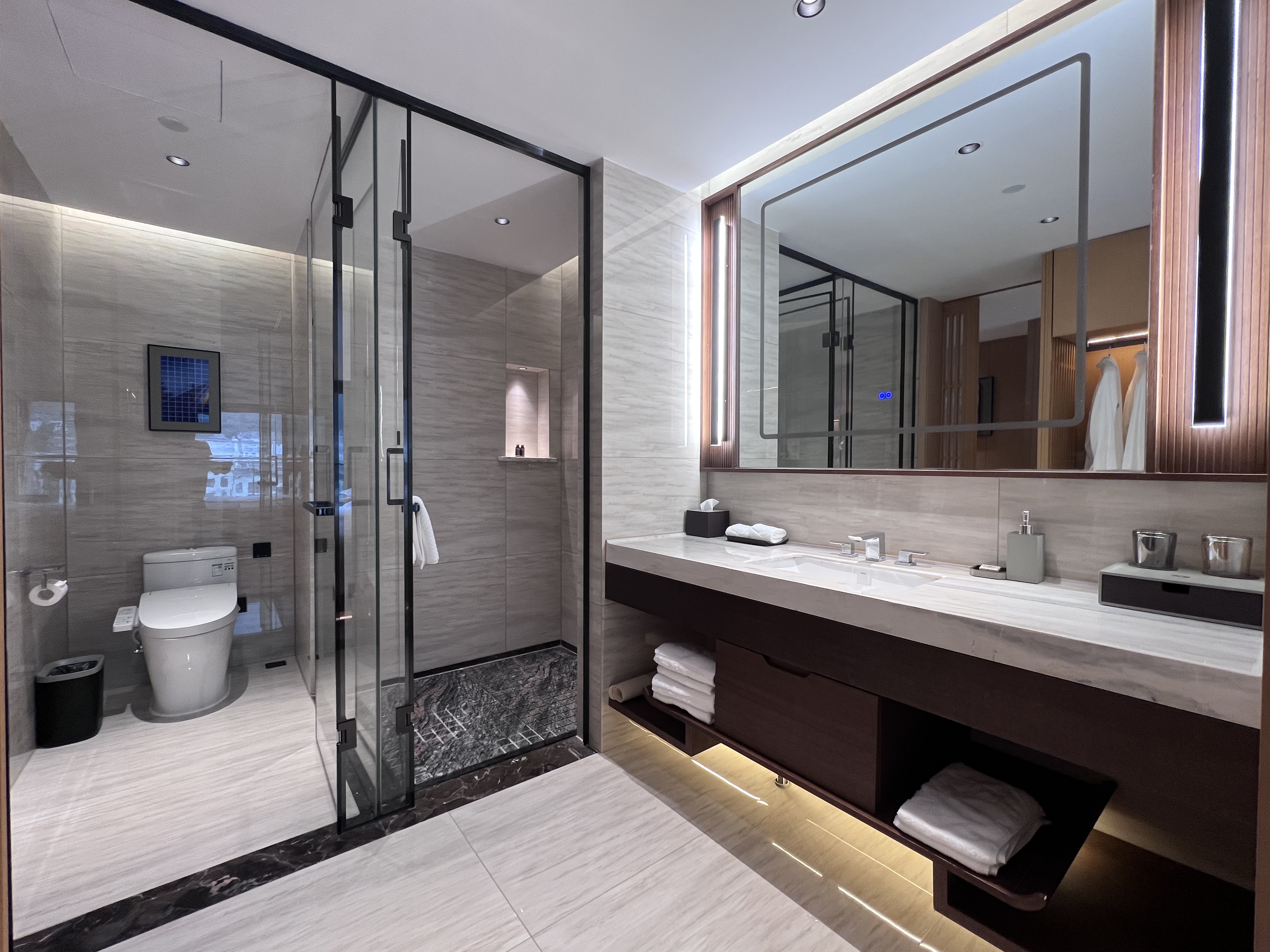 行政双床房（小度语控+智能马桶+乳胶睡枕+保险箱）