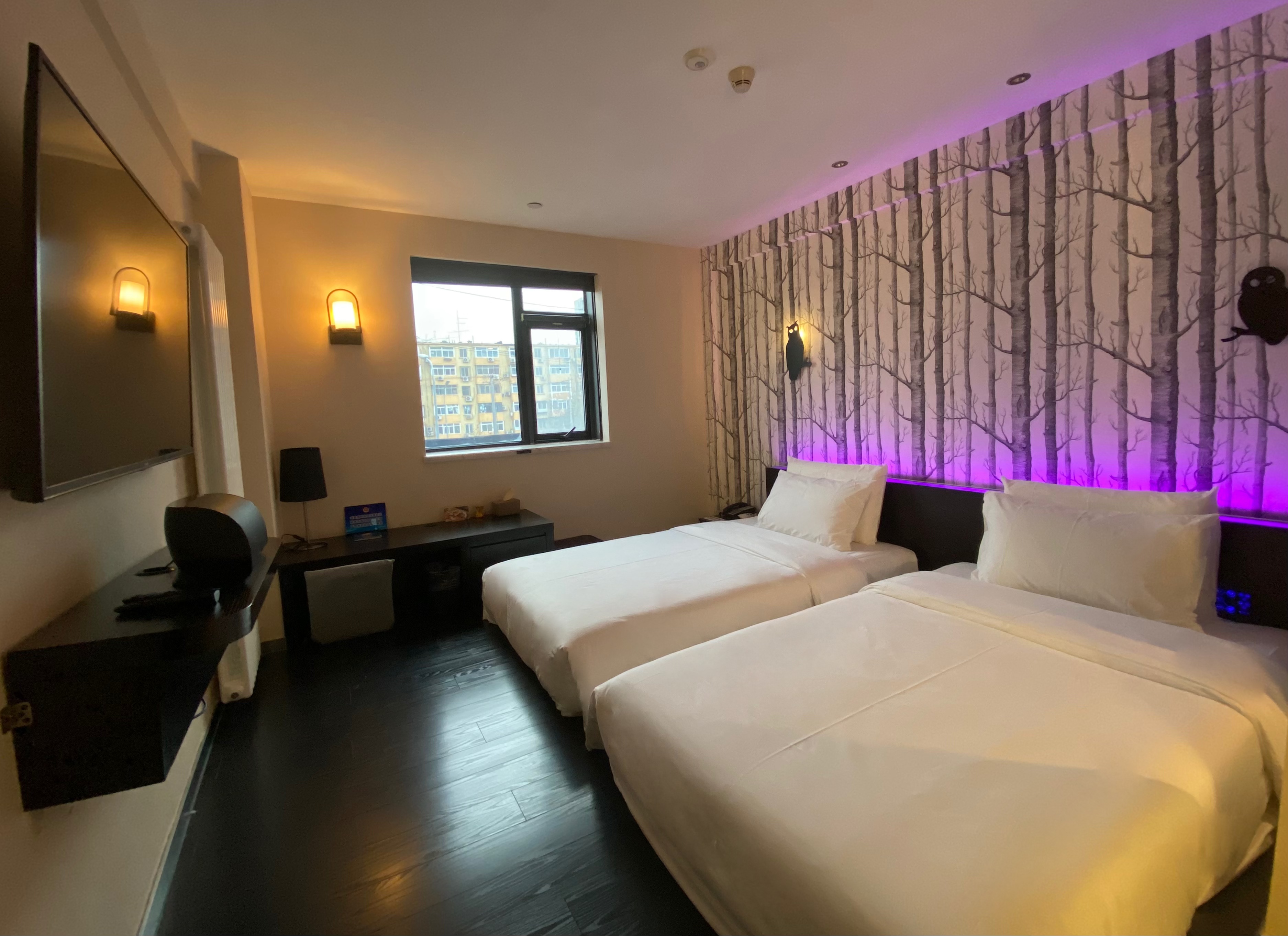 榻榻米双床房（小冰箱）