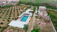 Banana Resort Sadao
