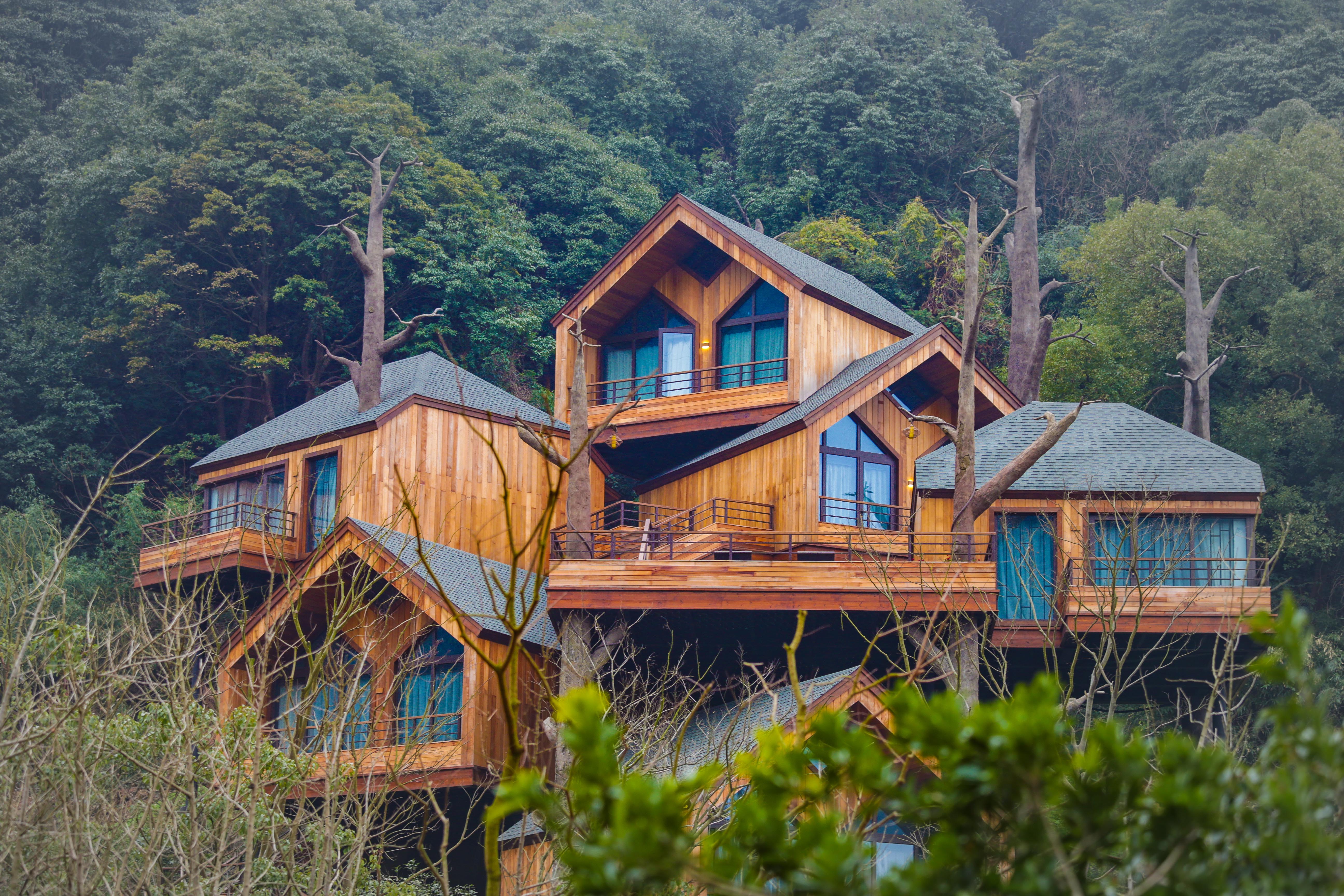 景观树屋大床房