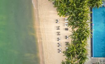 aerial view of a sandy beach with palm trees , a blue pool , and lounge chairs at Salinda Resort Phu Quoc - Sparkling Wine Breakfast