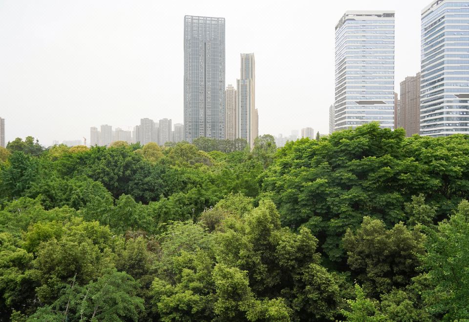 森林氧吧·园景套房