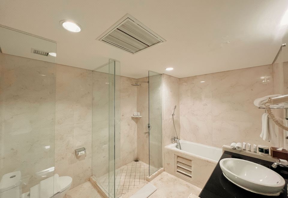 行政城景特大床套房（浴缸）