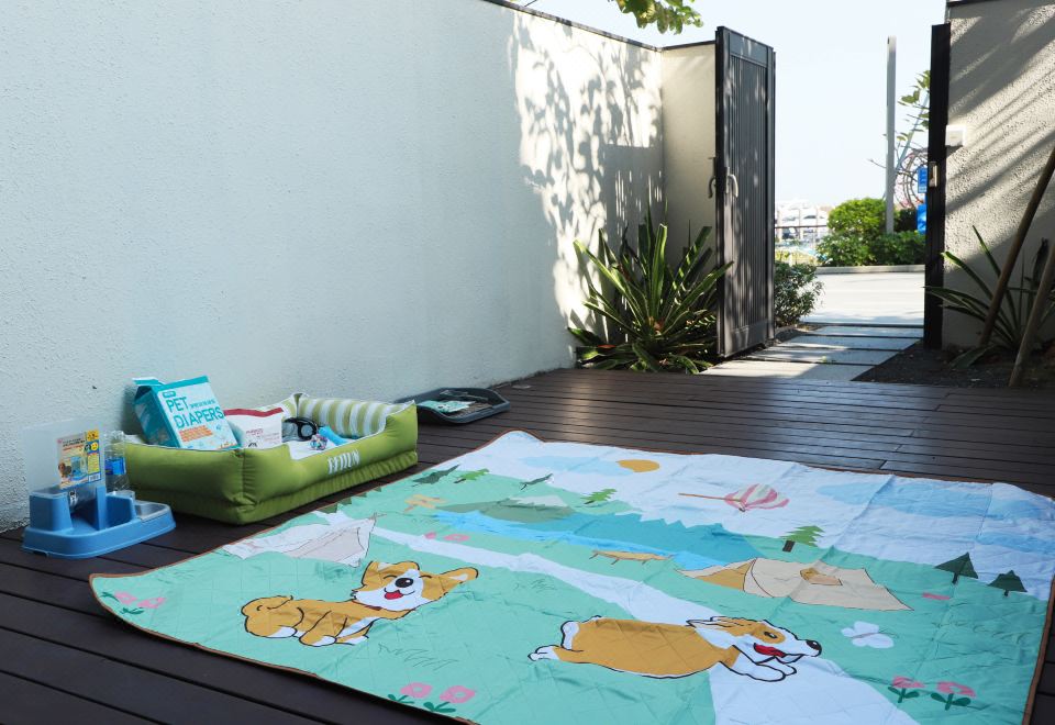 萌寵主題家庭房