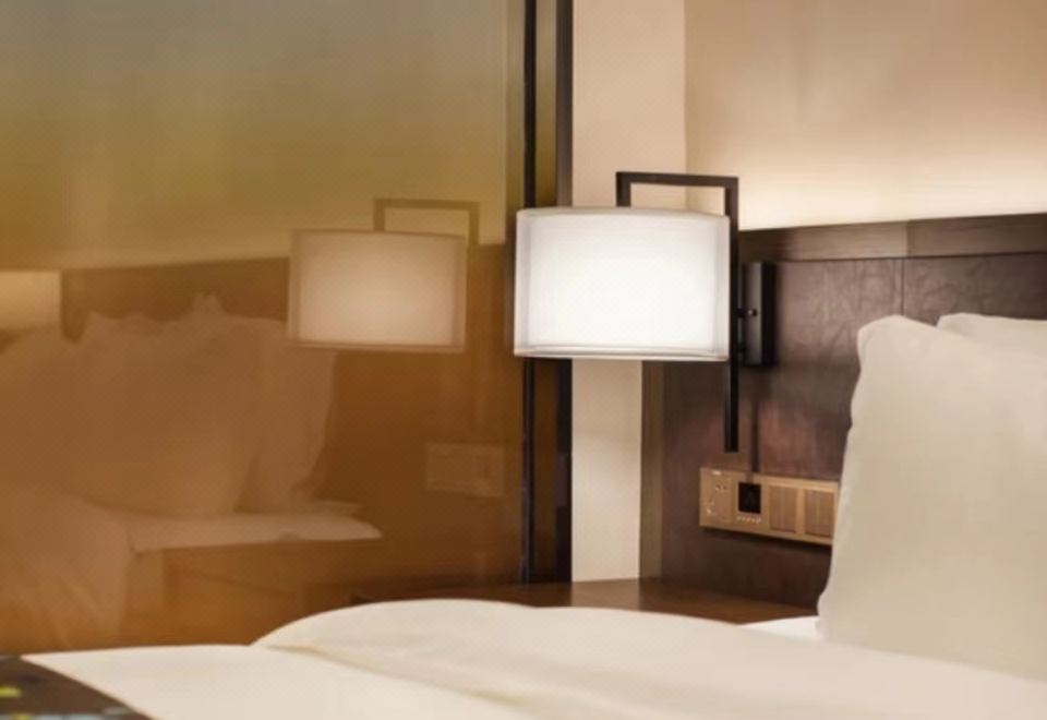 上榜私人总统套房（独立会客厅+拍照出片+超大空间）