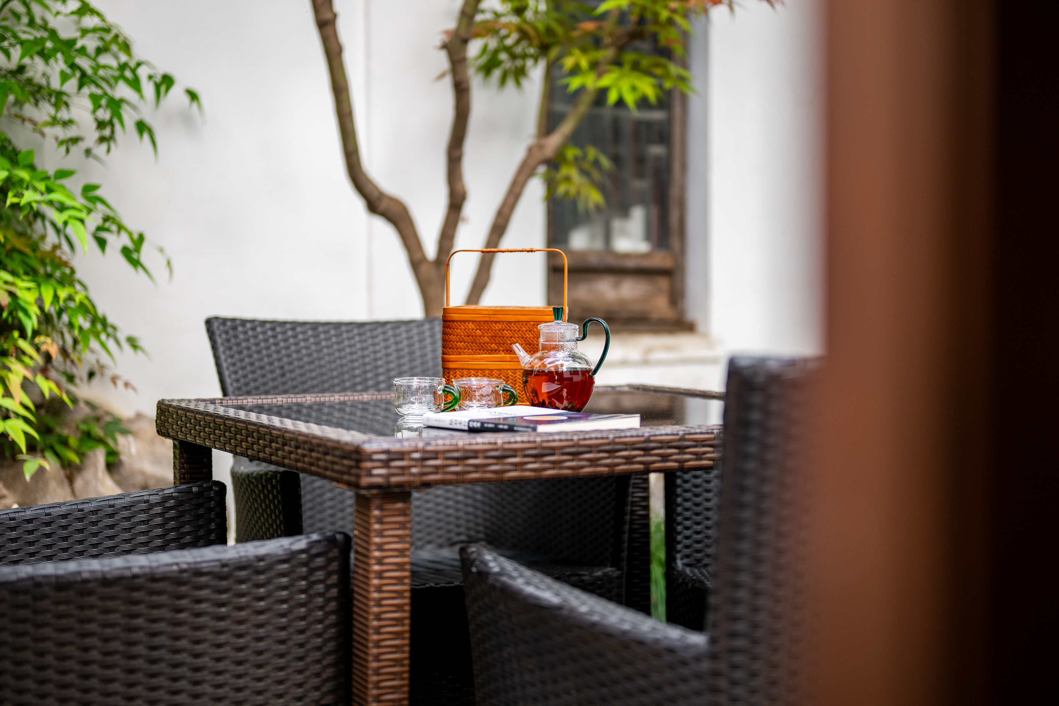 府邸·庭院別墅（四臥兩廳）