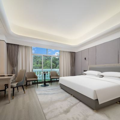 翠林山景大床房 珠海德翰大酒店優惠