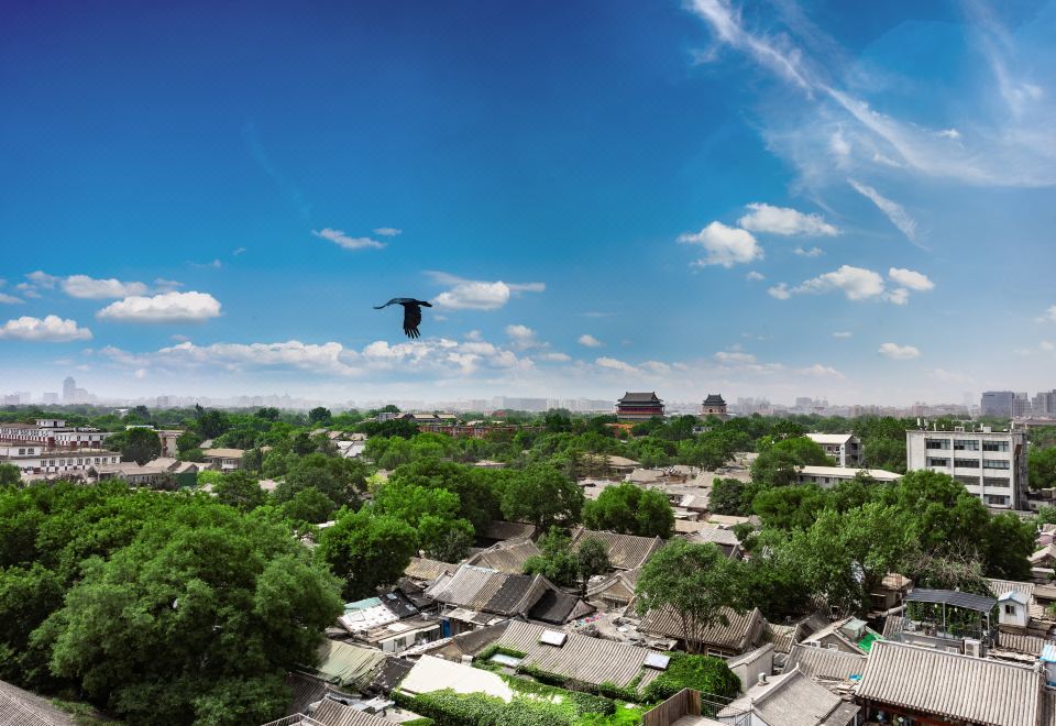 欢逸景观大床房（城市美景+小冰箱）